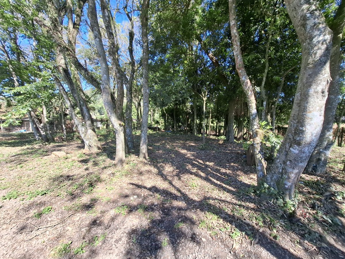 V5099 – Área de terra com casa em Picada Wassem em Marques de Souza