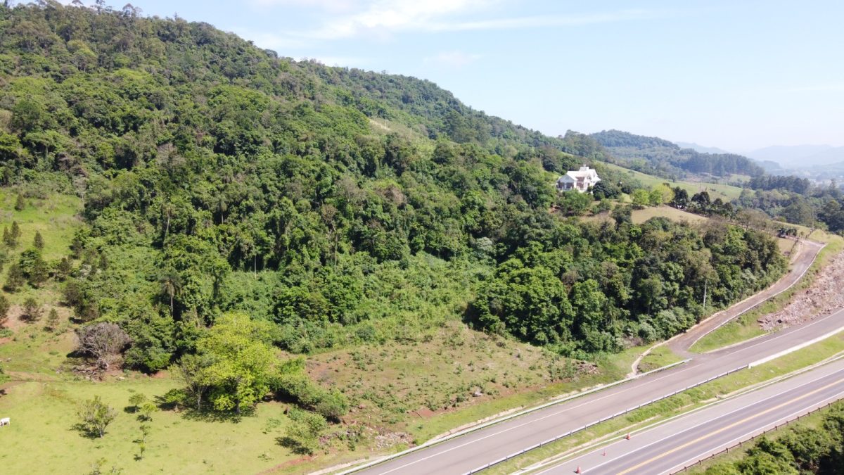 V11067 – Área na BR 386 em Marques de Souza