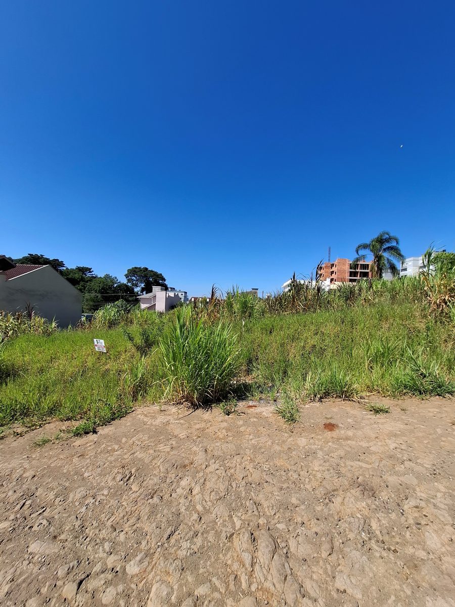 V11077 – Terreno Universitário