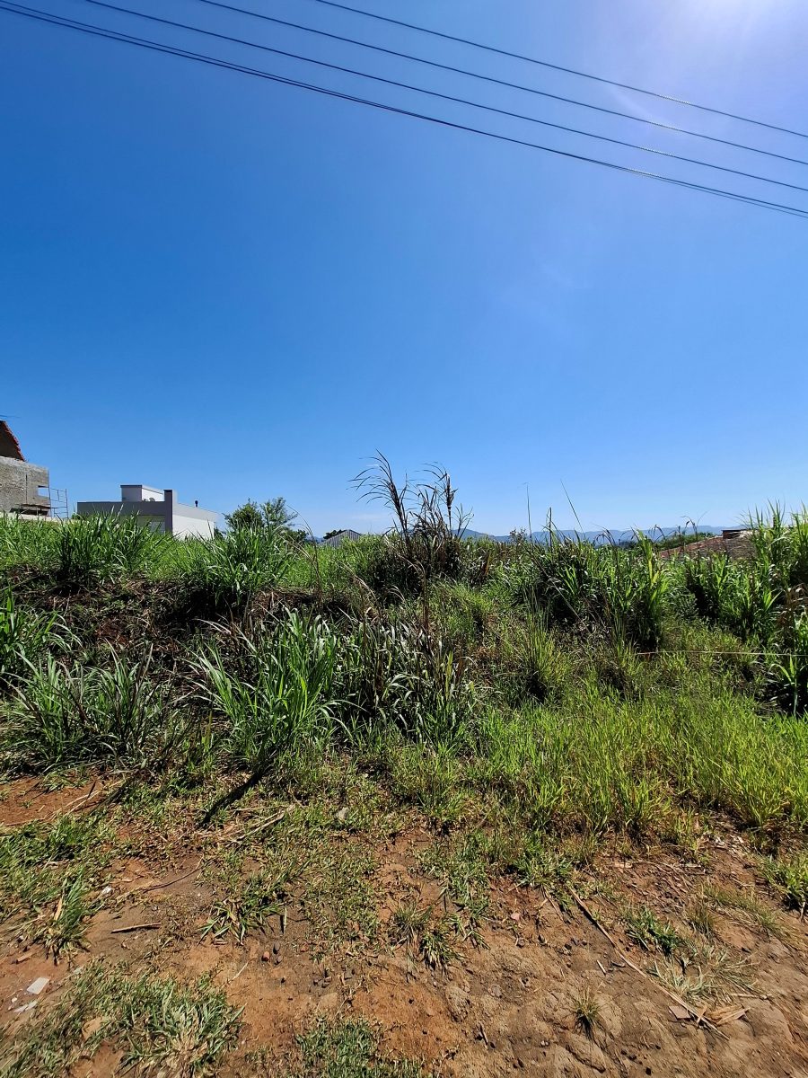 V11079 – Terreno Universitário