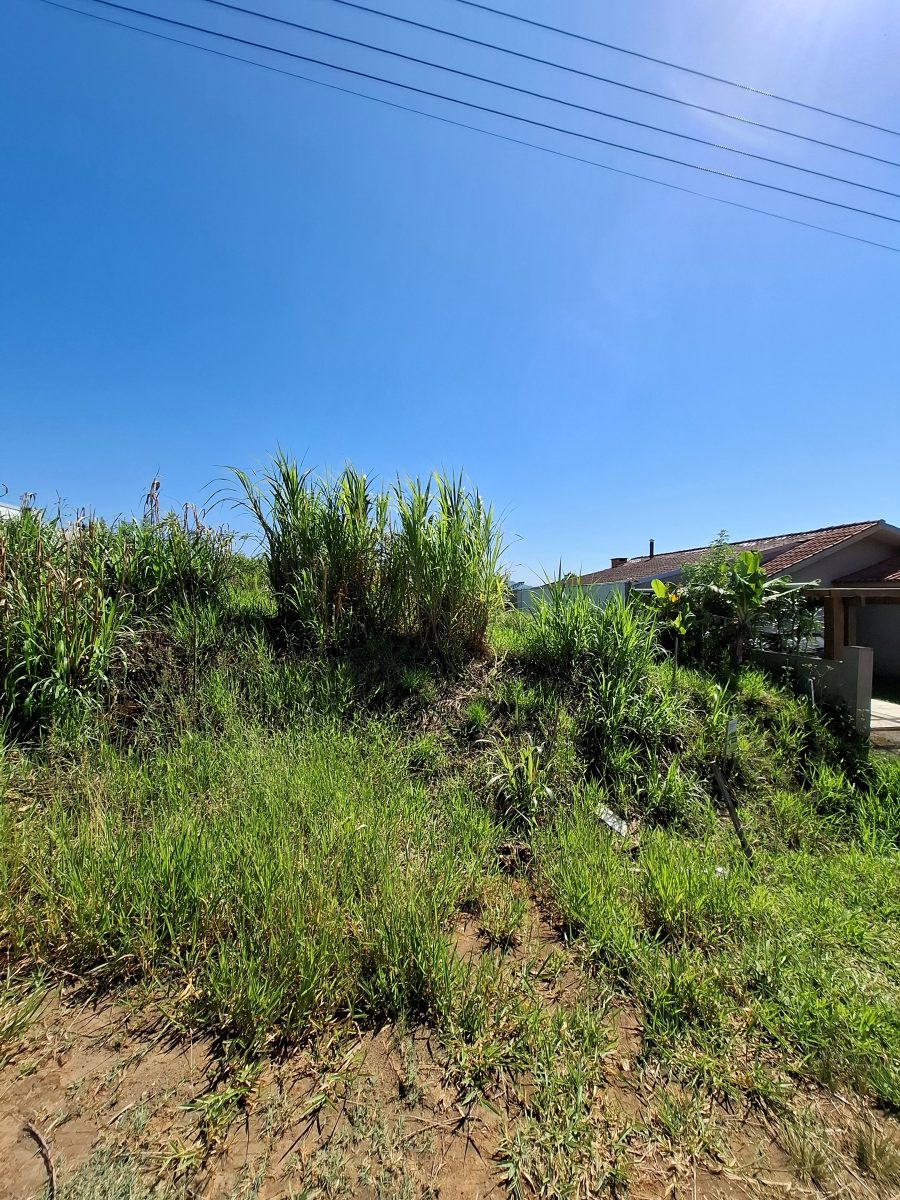 V11078 – Terreno Universitário