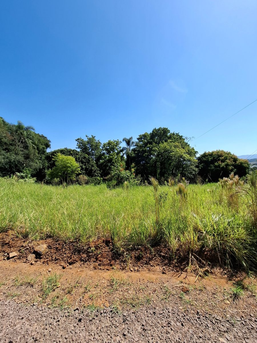 V11084 – Terreno Universitário