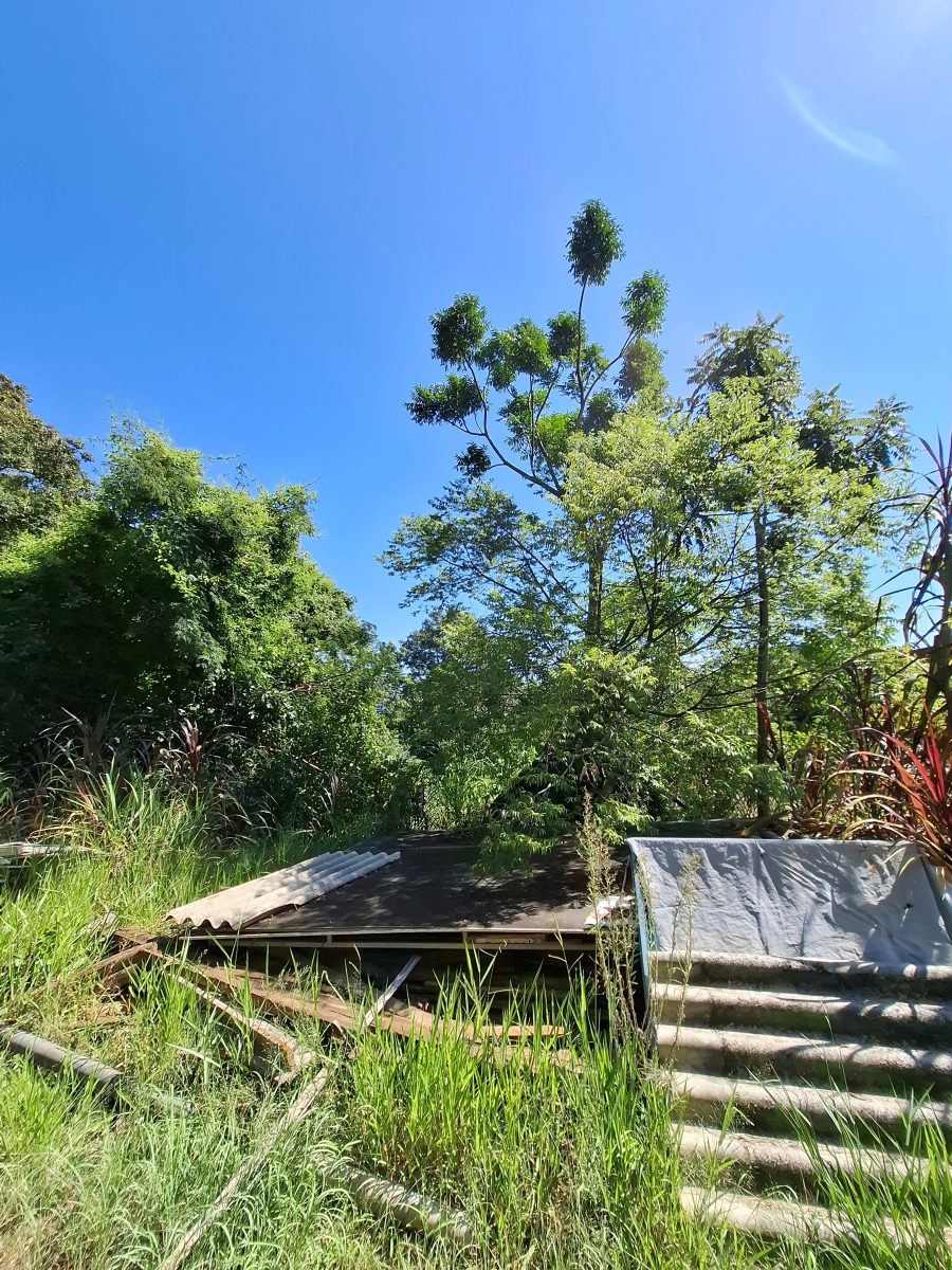 V11087 – Terreno Universitário