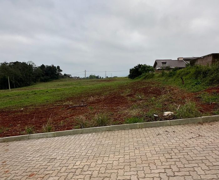 V11036 – Terrenos Bairro Conventos